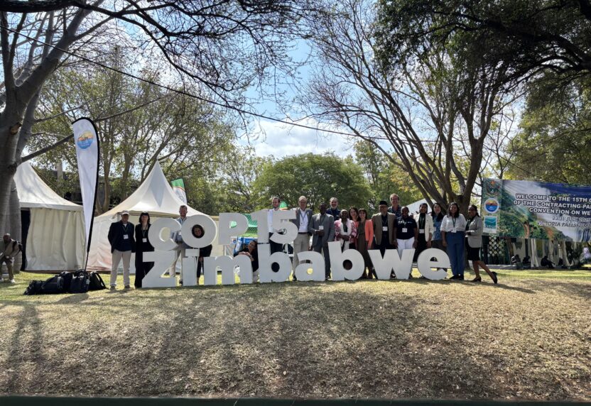 Comitê da Wetlands International durante a COP15 